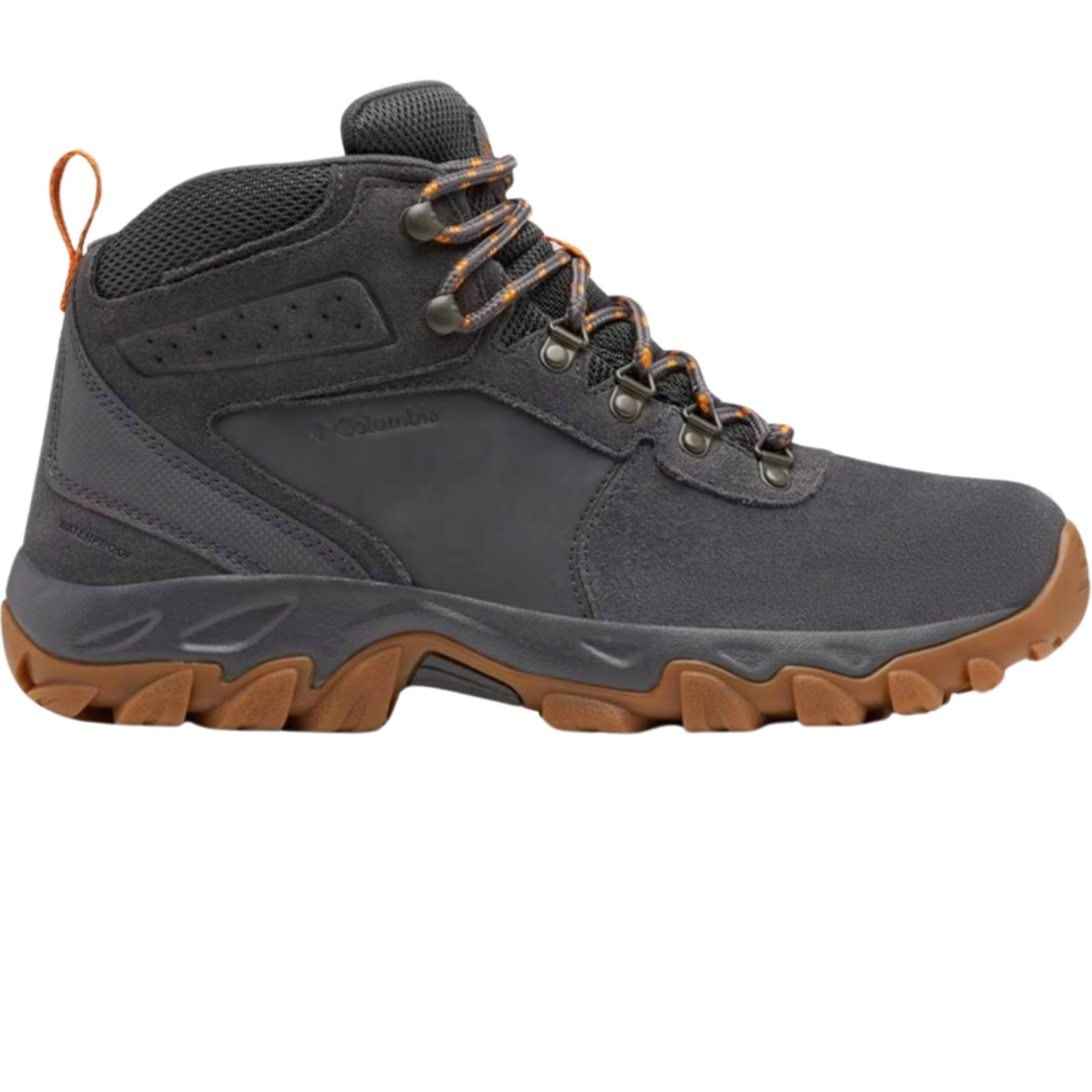 TITOLO - 2026-09-08T020710.800